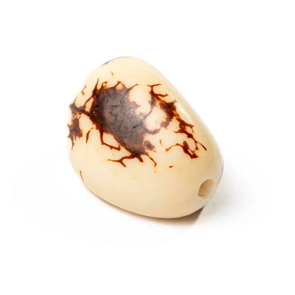 Tagua Beads Wholesale Natural Vegetable Ivory