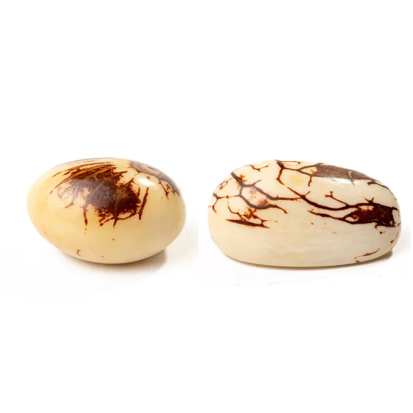 Tagua Beads Wholesale Natural Vegetable Ivory