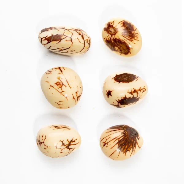 Tagua Beads Wholesale Natural Vegetable Ivory