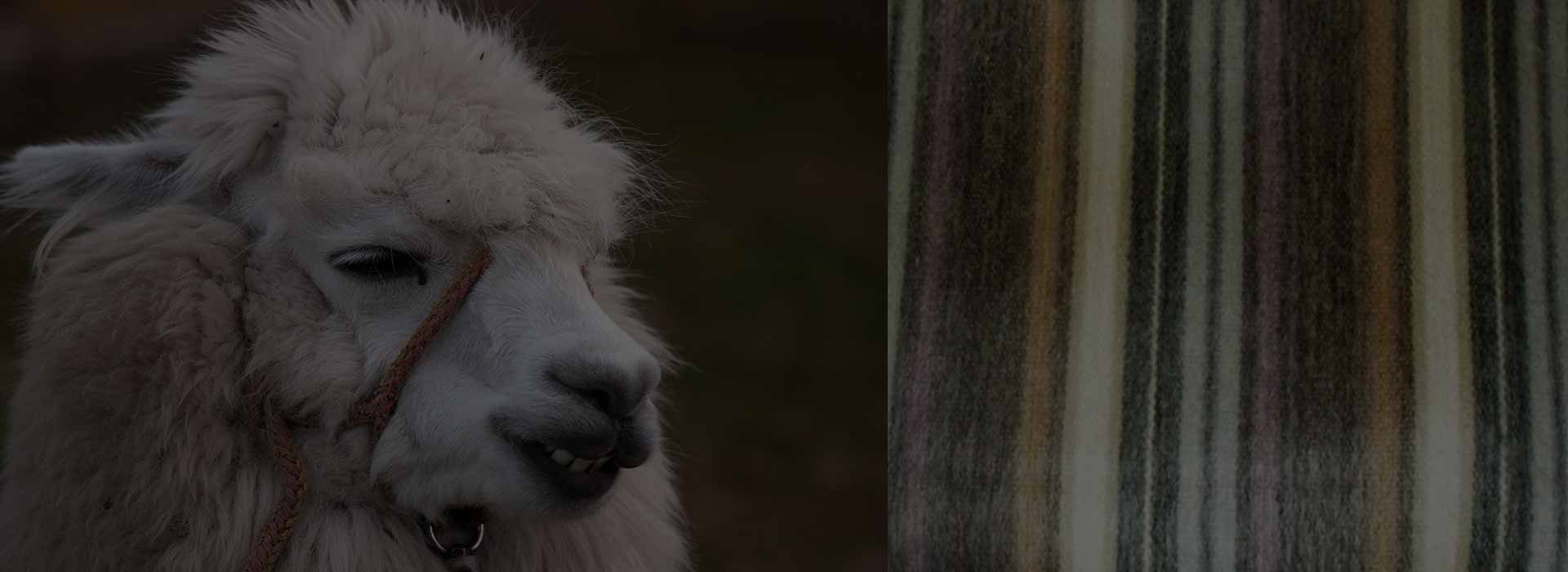 Productos en lana de alpaca al por mayor